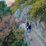 Auf der Tappeinerpromenade, Spaziergang, Spaziergänger, Spazierweg, Tappeinerpromenade, Tappeinerweg, Wanderweg, Weg, cammino, passeggiata Tappeiner, sentiero, way