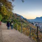 Auf der Tappeinerpromenade, Abend, Abendstimmung, Berg, Berge, Dämmerung, Gantkofel, Herbst, Macaion, Meran, Spaziergang, Spaziergänger, Spazierweg, Tagesausklang, Tagesende, Tappeinerpromenade, Tappeinerweg, Wanderweg, Weg, autumn, autunno, cammino, evening, passeggiata Tappeiner, sentiero, sera, way