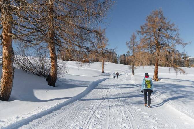 20240120113413-DSC_0765