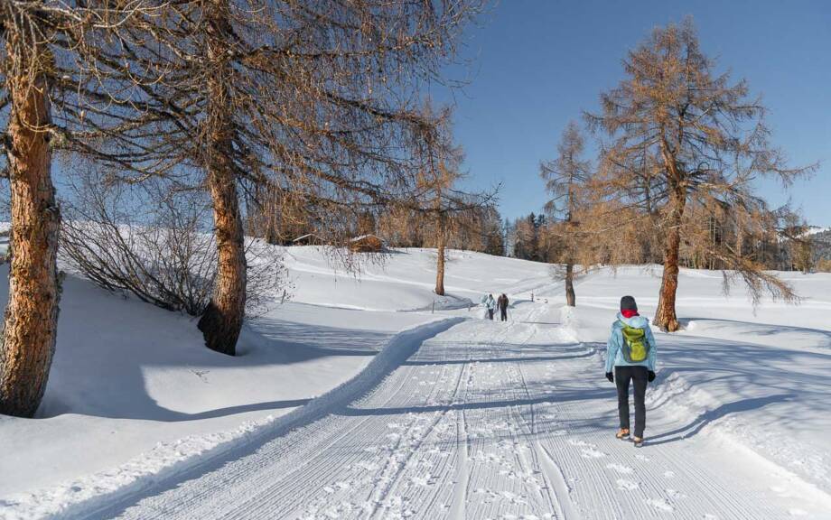 20240120113413-DSC_0765