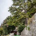 Arco, Sehenswürdigkeit, TN, Trentino