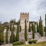 Burgruine Arco, Arco, Bau, Bauwerk, Bauwerke, Burg, Burg Arco, Burgruine, Gebaeude, Gebaude, Gebäude, Ruine, Sehenswürdigkeit, TN, Trentino, Turm, Türme, Zypresse, Zypressen, building, castello, cipresso, construction, cypress, edifice, edificio, fabbricato, remains, rovina, rudere, ruin, structure, torre, torri, tower