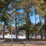 Nadelbaum, Nadelbäume, Nadelgehölze, Romeno, Spielplatz, Waldspielplatz