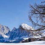 Alpe di Siusi, Berg, Berge, Schnee, Seiser Alm, Seiseralm, Winter, inverno, weiße Jahreszeit, winter,Langkofel, Plattkofel