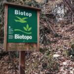 Biotop, Leiten