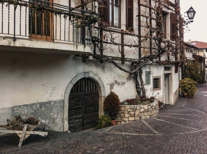 Die älteste Weinrebe Südtirols