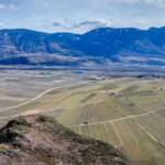 Geier Knöttl, Naturlehrpfad Tramin, Südtiroler Unterland