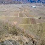 Auer, Corno Bianco, Corno nero, Geier Knöttl, Schwarzhorn, Weisshorn, Weißhorn