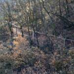 Naturlehrpfad Tramin