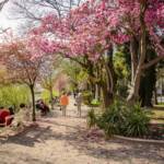 Meran, Promenade, Winterpromenade