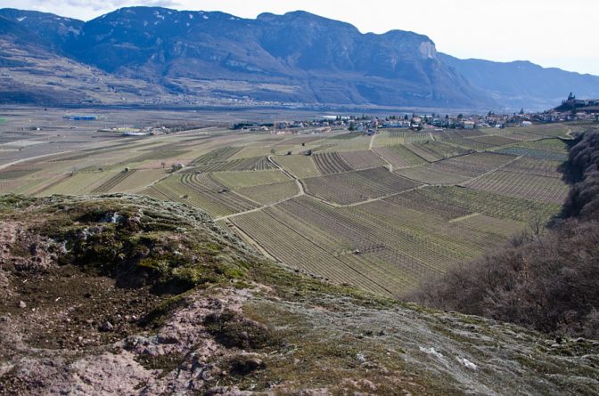 Spazierweg Tramin-Söll