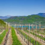 Kalterer See, Kalterersee, Söll