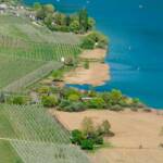 Kalterer See, Kalterersee