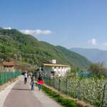 Kalterer See Rundweg