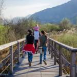 Kalterer See Rundweg