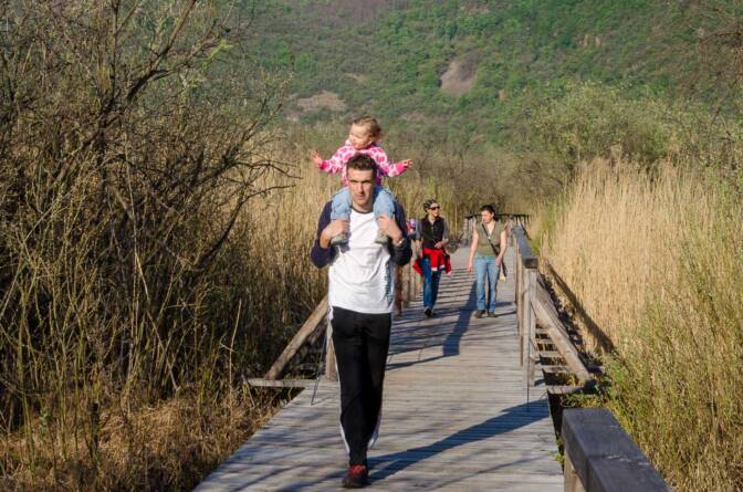 Auf dem Steg des Kalterer See Rundwegs