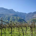 April, Frühjahr, Frühling, Mendelgebirge, Mendelkamm, Roen, Schwarzer Kopf, catena della Mendola