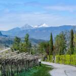 April, Frühjahr, Frühling, Hirzer, Ifinger, Ivigna, Punta Cervina