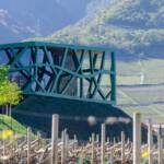 April, Frühjahr, Frühling, Kellerei, Kellereigenossenschaft, Kellereigenossenschaft Tramin, Weinkellerei, cantina, cantina vinicola, wine cellar, winery