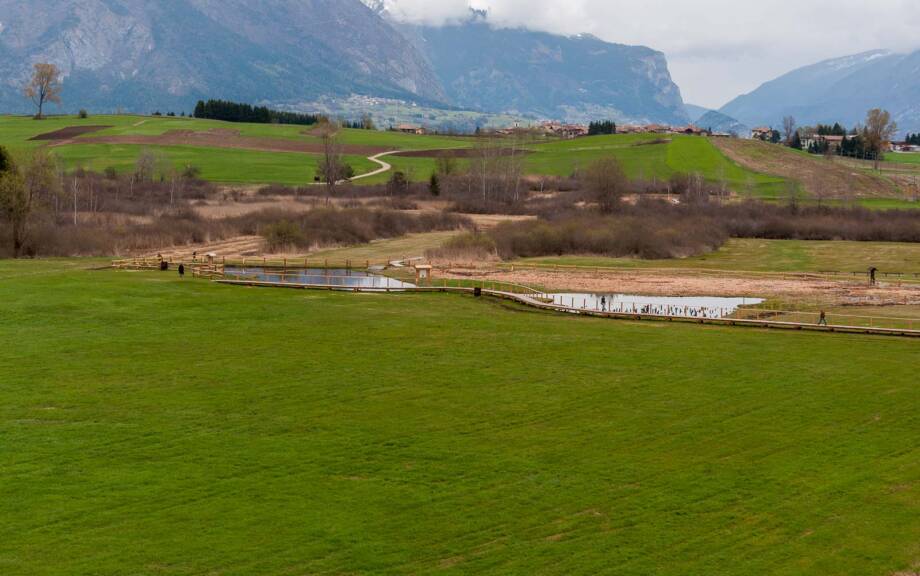 Biotop, Fiavè, Pfahlbauten