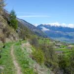 Münstertal, Plurwaalweg