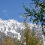 Frühjahr, Frühling