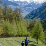 Frühjahr, Frühling, Münstertal, wandern