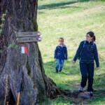 Münstertal, wandern