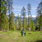 Münstertal, wandern