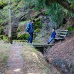 Plurwaalweg, Waalweg