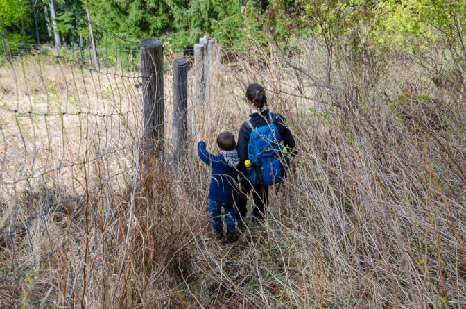 Mitten durchs Gestrüpp