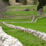 Sentiero Cimbro dell’immaginario / Zimbrische Phantasieweg, Weg, cammino, way