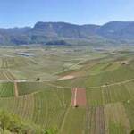 360, 360°, Geier Knöttl, Rund-um-Panorama, Termeno, Tramin