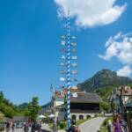 Bayerischer Maibaum