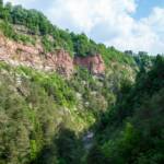 Novella Bach, Novella Schlucht