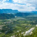 Auer, Mitterberg, Südtiroler Unterland