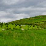 Highlands, Schottland