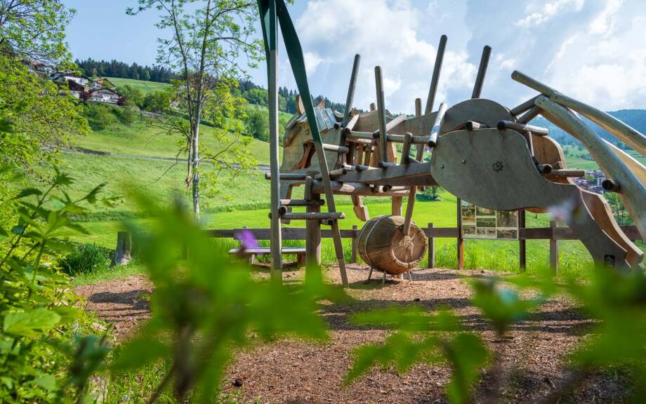 20230528094435-DSC_0634