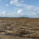 Edinburgh Schottland, Cramond, Cramond Beach, Edinburgh, Meer, Schottland, die See