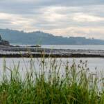 Cramond Island Edinburgh, Cramond, Edinburgh, Großbritannien, Schottland, UK, United Kingdom