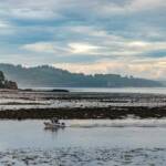 Cramond Island Edinburgh, Cramond, Edinburgh, Großbritannien, Schottland, UK, United Kingdom