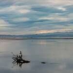 Cramond Island Edinburgh, Edinburgh, Großbritannien, Meer, Schottland, See, UK, United Kingdom, die See, lago, lake