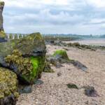 Cramond Island Edinburgh, Cramond, Edinburgh, Großbritannien, Schottland, UK, United Kingdom