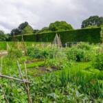 Botanik, Botanischer Garten, Edinburgh, Großbritannien, Schottland, UK, United Kingdom