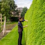 Botanic Garden Edinburgh, Botanik, Botanischer Garten, Edinburgh, Großbritannien, Schottland, UK, United Kingdom, englischer Rasen