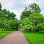 Botanik, Botanischer Garten, Edinburgh, Großbritannien, Schottland, UK, United Kingdom, englischer Rasen