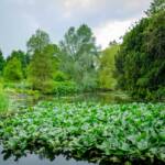 Botanik, Botanischer Garten, Edinburgh, Großbritannien, Schottland, UK, United Kingdom