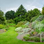 Botanik, Botanischer Garten, Edinburgh, Großbritannien, Schottland, UK, United Kingdom, englischer Rasen