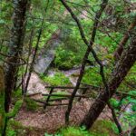 Bach, Fondo, Novella, Schlucht, Sentiero del Mondino, Steig