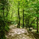 Canyon, Fondo, IT, Italia, Italien, Italy, Lago di Smeraldo, Rio Sass, See, Spazierweg, lago, lake